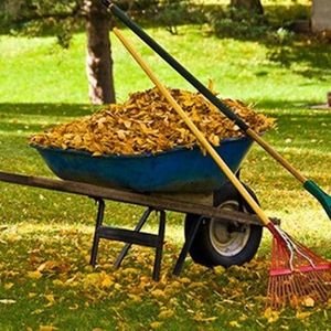 5f4eeba9f1f71a865c7e7329_All Pro Spring Clean-p-800_crop_450_450